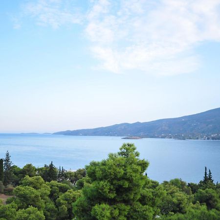 Maria Studios Poros Town Bagian luar foto